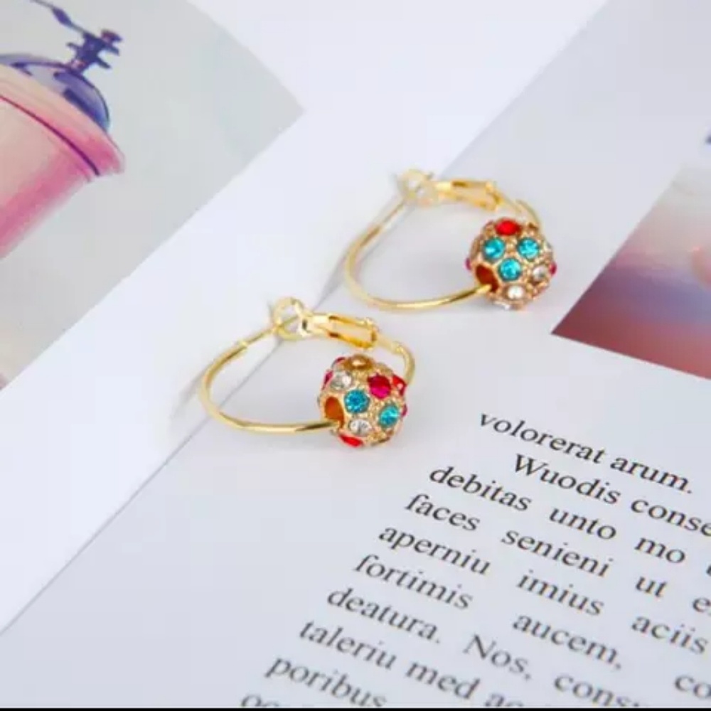 Rainbow Earnings